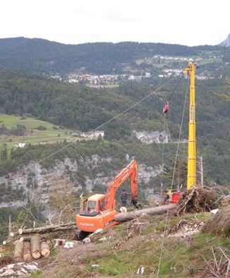 Lavori Nel Bosco